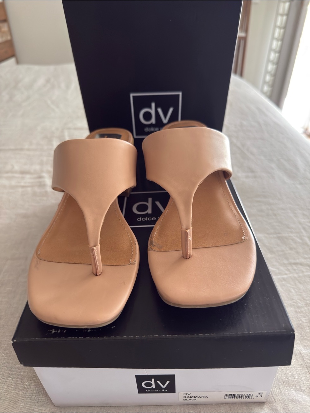 DV by Dolce Vita Blush Leather Thong Sandals